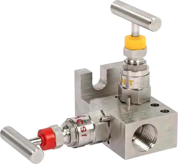 2 Valve Manifold