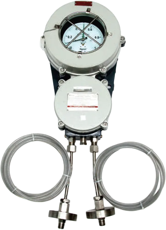 Bellow Type with Micro Switch Flame Proof Case