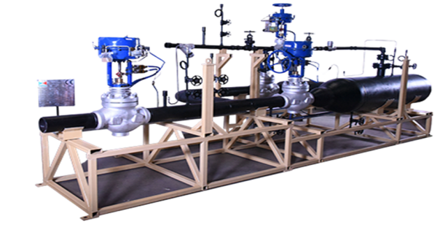 Flow SKID Assembly