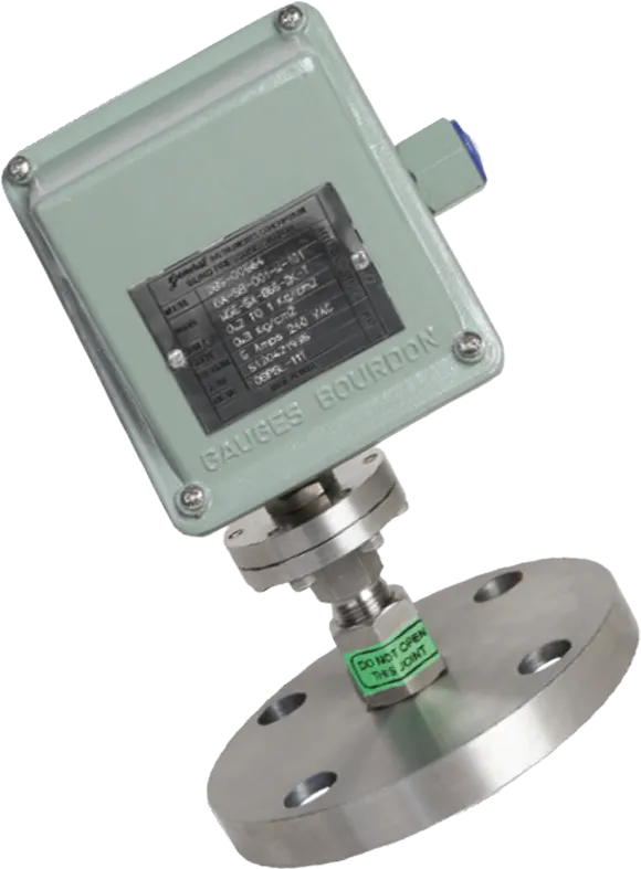 Flush Type Diaphragm Seal