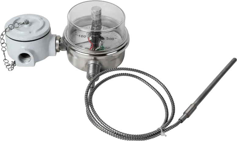 Temperature Switches