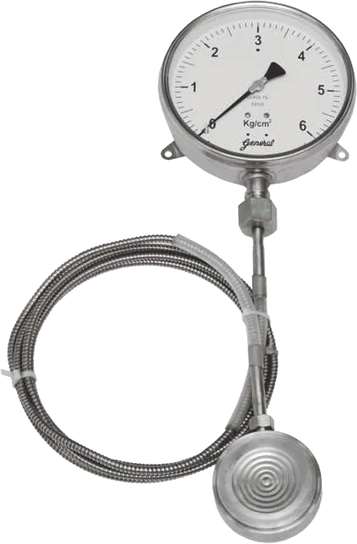 Pan Cake Type Diaphragm Seal