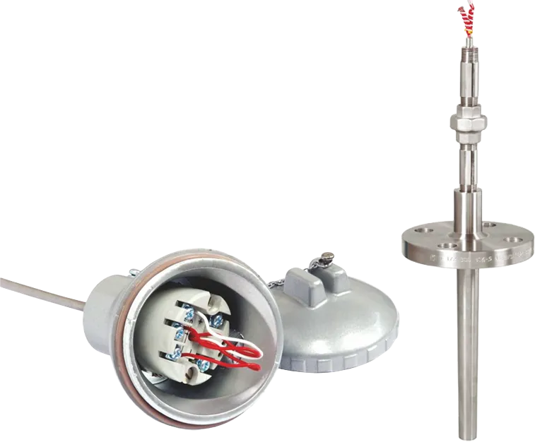 Temperature Element Assembly for Temperature Transmitter